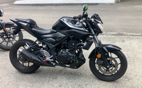 YAMAHA MT-25 RG43J