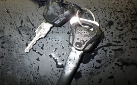 TRIUMPH TRIDENT 660 2025