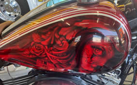 HARLEY FLHR1340 2009 FB4