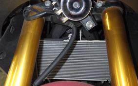 YAMAHA YZF-R25 2017 RG43J