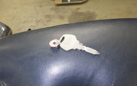 HARLEY 	XLS1000 2016