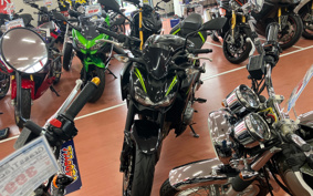 KAWASAKI Z900 2019 ZR900B