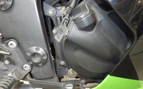 KAWASAKI NINJA 250R 2025 EX250K