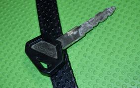 KAWASAKI KLX250D TRACKER X LX250V