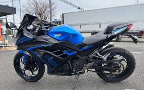KAWASAKI NINJA 250 EX250L