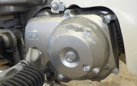 HONDA C90 SUPER CUB E HA02