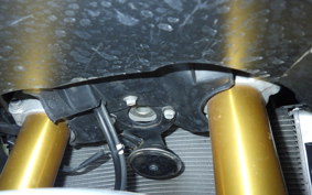 KAWASAKI ZX 1400 NINJA R A 2015