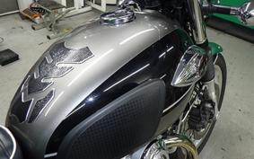 KAWASAKI W800 2024 EJ800E
