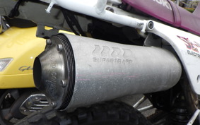 SUZUKI DJEBEL 200 (DR200SE) SH42A