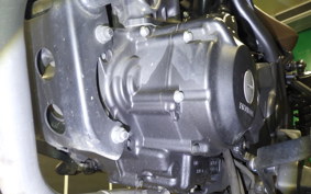 HONDA REBEL 250 S MC49