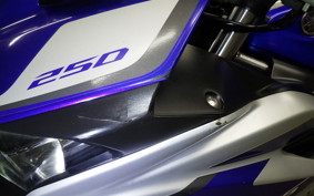 YAMAHA YZF-R25 2006 RG10J