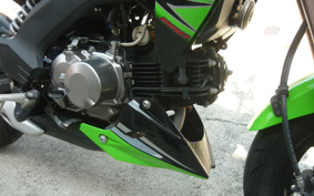 KAWASAKI Z125 PRO BR125H