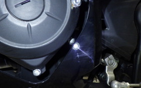YAMAHA YZF-R25 RG43J