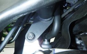 KAWASAKI ZX-4RR 2025 ZX400P