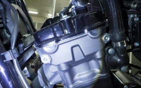 HONDA REBEL 250 2021 MC49