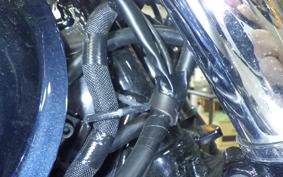 KAWASAKI W800 2021 EJ800B