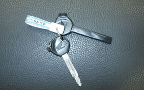HONDA LEAD 110 2025 JF19