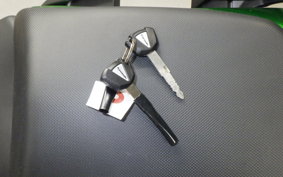 KAWASAKI NINJA 1000 SX 2023 ZXT02K