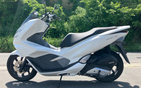 HONDA PCX 125 JF81