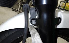 HONDA VTRF250 2006 MC33