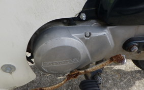HONDA C50 SUPER CUB C50