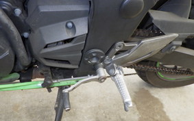 KAWASAKI NINJA 250 EX250L