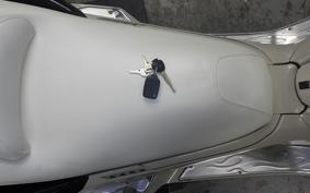 YAMAHA MAXAM 250 Trike 2005 SG21J