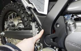 HONDA CRF250L 2009 MD47