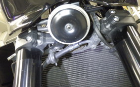 KAWASAKI Z900RS CAFE 2022 ZR900C