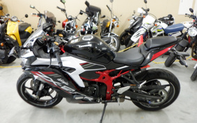 KAWASAKI NINJA ZX 25 R SE ZX250E