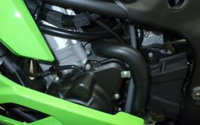KAWASAKI ZX-25RR 2026 ZX250H