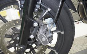 HARLEY XL883N 2017