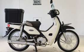 HONDA C110 SUPER CUB 2009 JA10