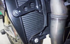 TRIUMPH SPEED TRIPLE RR 2022