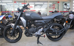YAMAHA FZ-X RG73