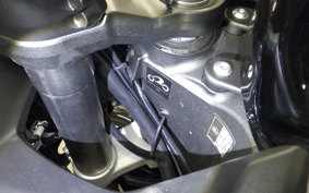 KAWASAKI NINJA 1000SX 2024 ZXT02K