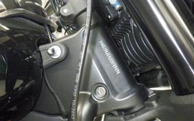 HARLEY FXFB1750 2020