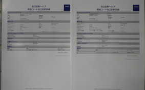 SUZUKI ジクサー250 SF 2012 ED22B