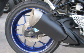 YAMAHA YZF-R25 RG10J