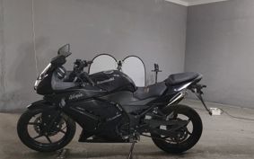 KAWASAKI NINJA250R EX250K