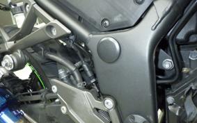 KAWASAKI NINJA 250 ABS EX250L