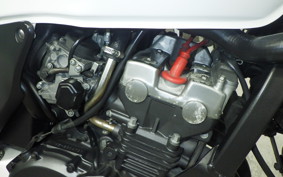 HONDA HORNET 250 MC31