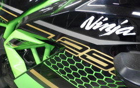 KAWASAKI NINJA 250 SL