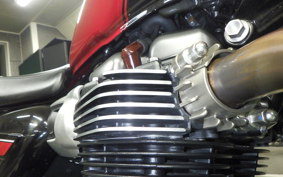 TRIUMPH SPEED TWIN 900 2024