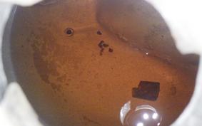 HARLEY FXS 1340 1989