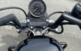 HARLEY XL883R 2007 CS2