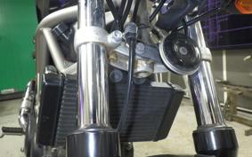 HONDA VTR 250 Gen. 2 2014 MC33
