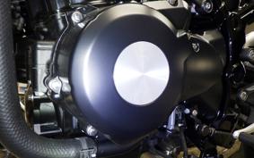 KAWASAKI Z900RS 2025 ZR900K