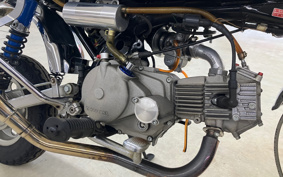 HONDA GORILLA AB27