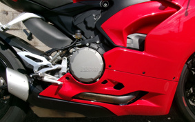 DUCATI PANIGA-REV2 2020 1H00